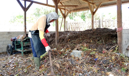 EcoRanger Banyuwangi Berhasil Kurangi 250 Ton Sampah di Kawasan Wisata