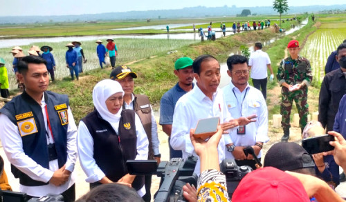 Presiden Jokowi Sebut Impor 2 Juta Ton Beras untuk Cadangan Bulog Hadapi Musim Kering