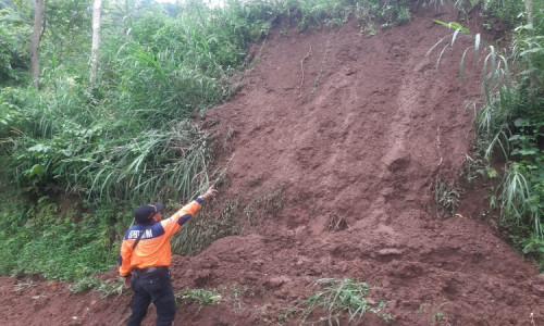 Akibat Longsor, Jalan Desa di Taman Kursi, Situbondo Terputus dan Ratusan KK Terancam Terisolir