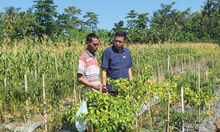 Caleg DPR RI Dapil VIII Asal Cilacap Gencar Blusukan, Sani Ariyanto : Serap Aspirasi Masyarakat