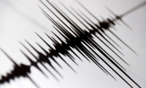 Pagi Tadi, Gempa 4,7 Magnitudo Guncang Malang