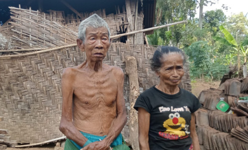 Menunggu Janji Bantuan Rumah, Lansia di Jember Terpaksa Tidur di Kandang Sapi