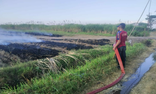 Lahan Tebu Siap Panen di Situbondo Terbakar, Petani Meradang Karena Rugi 