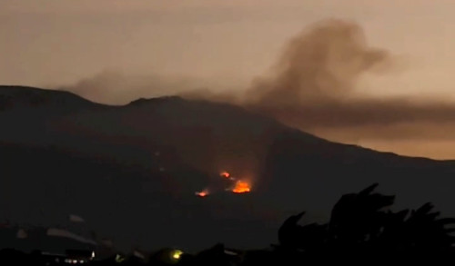 Kebakaran Hutan Perbatasan Tiga Kabupaten di Jatim