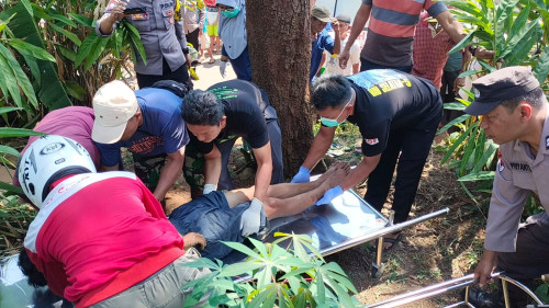 Tragis, Warga Lemahireng Bawen Semarang Meninggal Kesetrum Saat Panen Petai