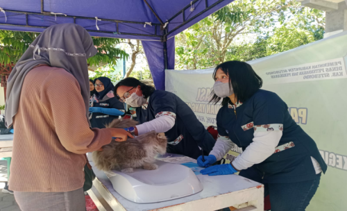Menangkal Penyakit Rabies di Situbondo, Ini yang Dilakukan Disnakkan