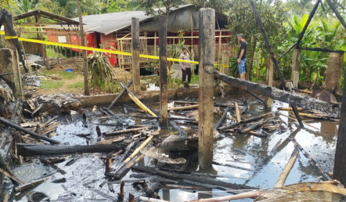 Peternakan di Banyuwangi Terbakar, Ribuan Ekor Ayam Hangus Terpanggang