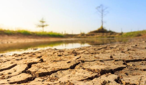 Terlambat Kirim Air Bersih Berdampak Banyak Desa di Sampang Kering Kritis