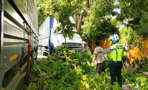 Truk Kontainer Hantam Dua Mobil dan Pohon di Probolinggo