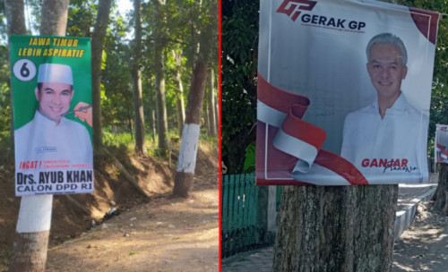 Bawaslu Bondowoso Surati KPU, Buntut Maraknya Banner Kampanye Dipaku di Pohon