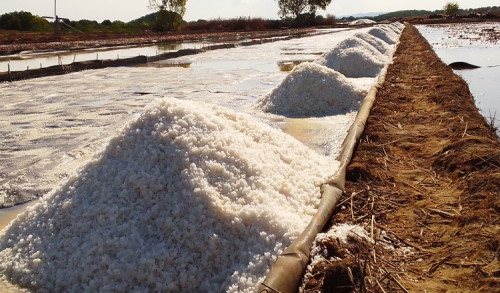 Musim Kemarau, Hasil Produksi Garam di Sampang Meningkat