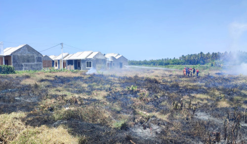 Kebakaran Lahan di Banyuwangi Bikin Panik Warga Perumahan Adimas Sobo