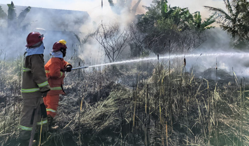 Berturut-turut, Lima Titik Kebakaran Lahan di Banyuwangi Terjadi dalam Sepekan 