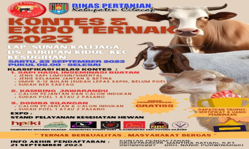 Kontes dan Expo Ternak Akan Digelar di Cilacap, Ada Sapi Limosin dan Domba Jawa Randu