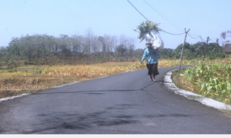 Jalan Lingkungan di Desa Bubulan, Bojonegoro Dibangun, Petani Senang