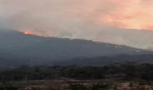 Kebakaran Hutan di Gunung Lawu Meluas dan Sudah Masuk Wilayah Kabupaten Magetan