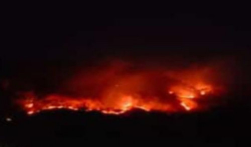 Puluhan Hektar Hutan di Gunung Bancak Magetan Terbakar, Pemukiman Warga Terancam