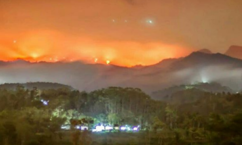 Lereng Gunung Argopuro Jember Terbakar, Kekeringan Panjang Diduga Jadi Penyebab
