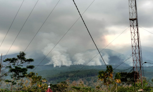 Ribuan Hektare Hutan Gunung Lawu di Ngawi Terbakar, Tanggung Jawab Siapa?