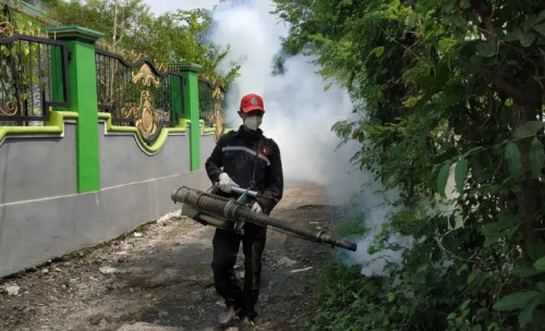 Renggut 18 Nyawa, Kasus Kematian DBD Kabupaten Probolinggo Tertinggi se-Indonesia