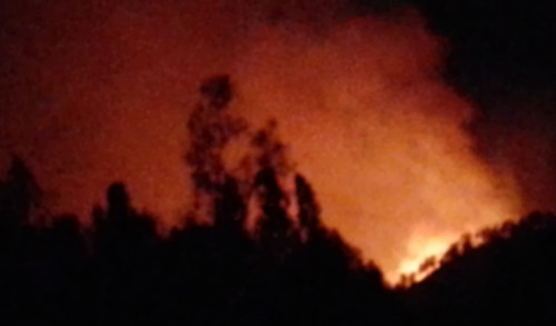 Lereng Gunung Ijen Banyuwangi Terbakar Hebat