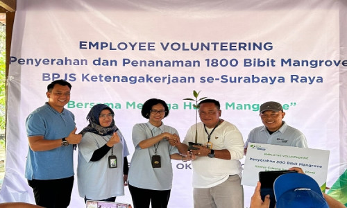 BPJS Ketenagakerjaan Gelar Kegiatan Employee Volunteering di Hutan Mangrove Surabaya