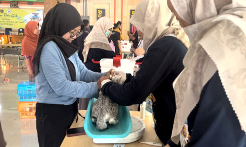 Hari Rabies se-Dunia, Ratusan Kucing dan Anjing di Ngawi Disuntik Vaksin