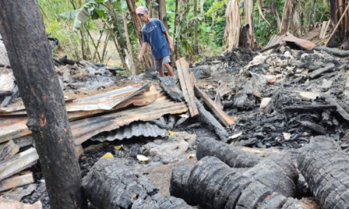 Kandang Sapi Terbakar di Banyuwangi, Sapi Indukan Selamat Anakan Tewas