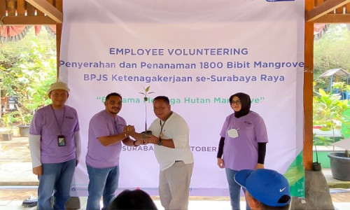 Employee Volunteering, BPJS Ketenagakerjaan Tanam Ribuan Mangrove