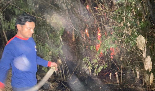 Lahan di Sampang Kembali Terbakar, Hampir Menjalar ke Rumah Warga