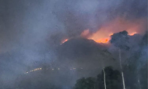 BNPB:  Kebakaran Hutan di Gunung Merbabu Capai 489,07 ha