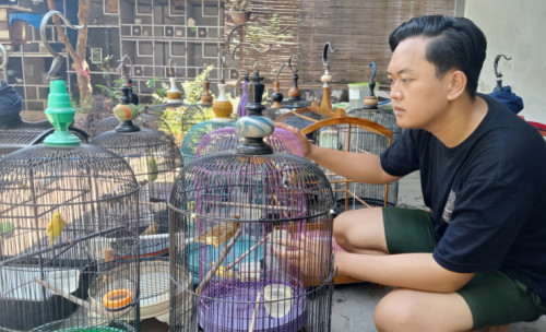 Jual Beli Burung Kenari, Bikin Pemuda Probolinggo Raup Pendapatan Melebihi UMK