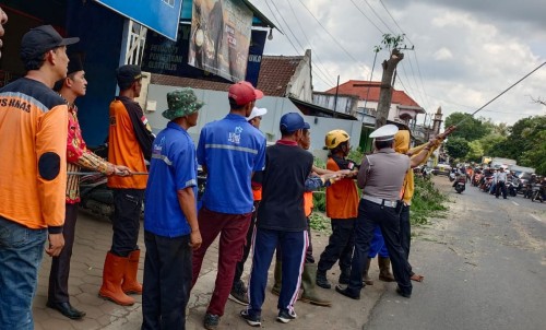 Antisipasi Pohon Tumbang di Jalan Protokol, Polsek Turen Malang Lakukan Pemangkasan Pohon