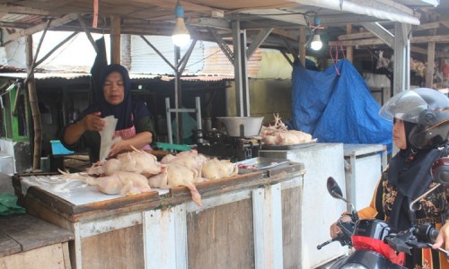 Harga Daging Ayam Broiler Naik, Pedagang di Jombang Mengeluh Omzet Penjualan Menurun