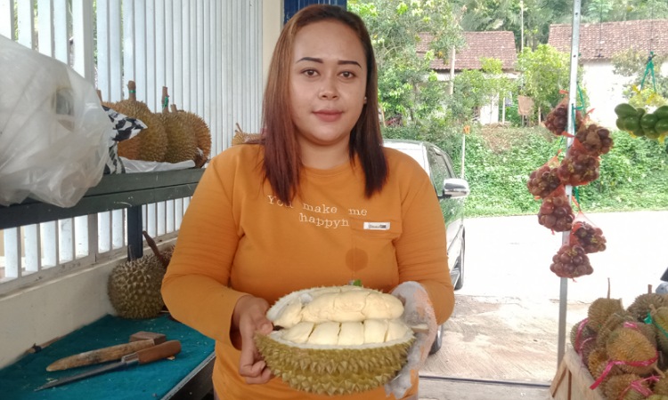 Mempunyai Citarasa yang Khas, Durian Lokal Wonosalam Banyak Diburu Pembeli