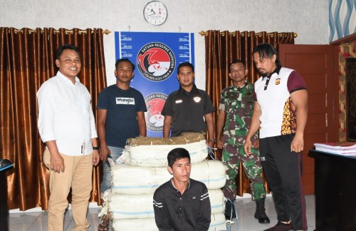 Anggota Koramil Peunaron Bantu Amankan 75 KG Ganja, Pelaku dan BB Diserahkan ke Polisi