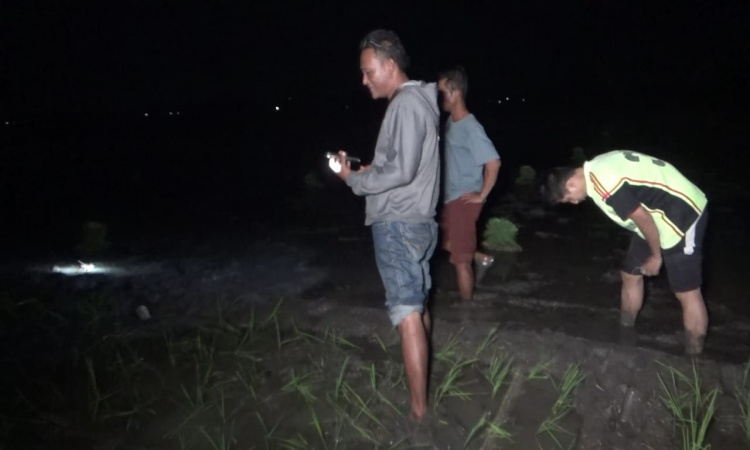 Tak Kunjung Pulang, Petani di Ngawi Ditemukan Tewas Tersambar Petir