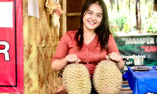 Mencicipi Nikmatnya Durian Wonosalam dan Kopi Excelsa di Hutan Pinus Carangwulung Jombang