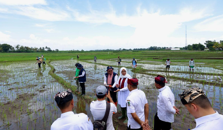 Bupati Ipuk Dorong Pertanian Presisi dengan Alat Canggih Pemupukan Tepat Dosis