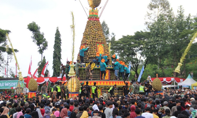 Event Tahunan KenDuren Wonosalam Jombang, Ribuan Durian Dibagikan Gratis ke Pengunjung