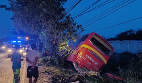 Sopir Bus Ugal-ugalan Tabrak Dua Truk di Tuban, Satu Penumpang Tewas