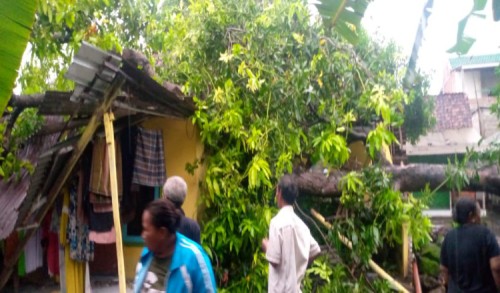 Empat Rumah Warga di Situbondo Rusak Akibat Hujan Deras Disertai Angin Kencang