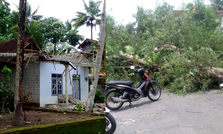 Angin Kencang Mengamuk di Blitar, Satu Rumah Warga Rusak dan Akses Jalan Tertutup Total