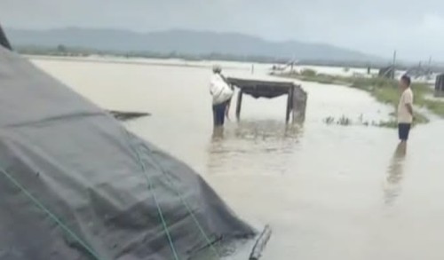 Banjir Melanda Sampang, Tambak Garam dan Udang Menderita Kerugian