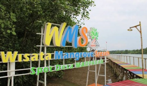Pengunjung Wisata Mangrove Sepi, Disporabudpar Sampang Sebut Imbas Akses Jalan Rusak