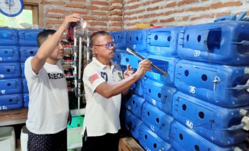 Budidaya Kepiting Sistem Crab House Probolinggo, Peluang Bisnis Rumahan yang Menjanjikan