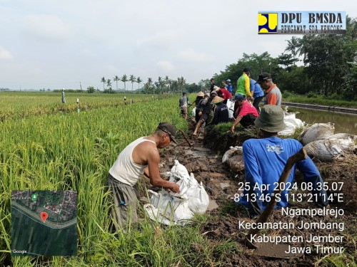 Perbaiki Saluran Sekunder Untuk Ribuan Hektar Sawah, PU Bina Marga Jember Serta Hippa Gunakan Hand Bag