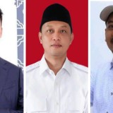 Pilbup Ngawi Berpotensi Ada Tiga Pasangan Calon, Jika Duplikat Koalisi Pilpres