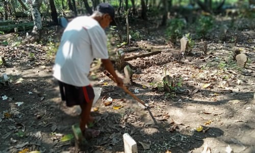 Kisah Sule Pemalang, Lansia 85 Tahun yang Bertahan Hidup dari Kembang Kuburan