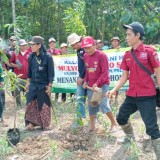 Petani Hutan Blora Tanam Ribuan Pohon, Sumbang Oksigen untuk Dunia